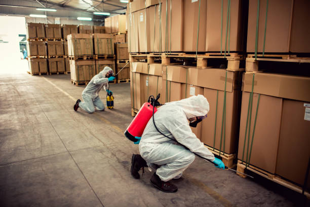 Best Cockroach Control Services  in El Rancho, NM