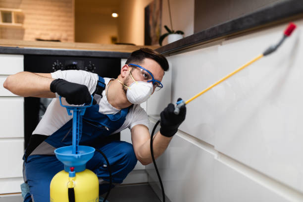 Best Wildlife Control Services  in El Rancho, NM