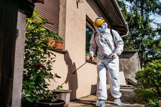 Professional Pest Control in El Rancho, NM