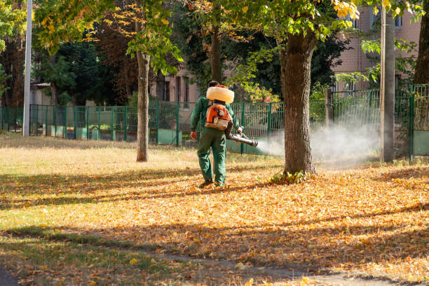 Best Best Pest Control Companies  in El Rancho, NM