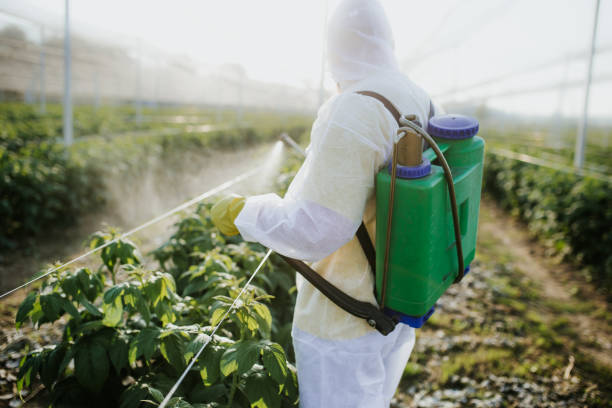 Pest Control for Restaurants in El Rancho, NM